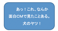 面白CMで見たことある犬のヤツ