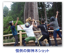 恒例の御神木ショット